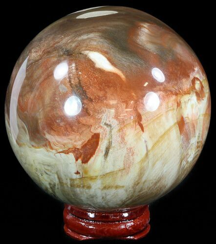Colorful Petrified Wood Sphere #49774